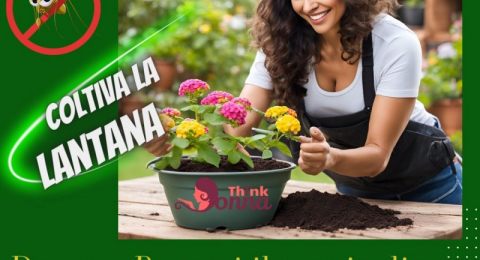Lantana: il Fiore Esotico che Decora e Protegge il tuo giardino dalle zanzare